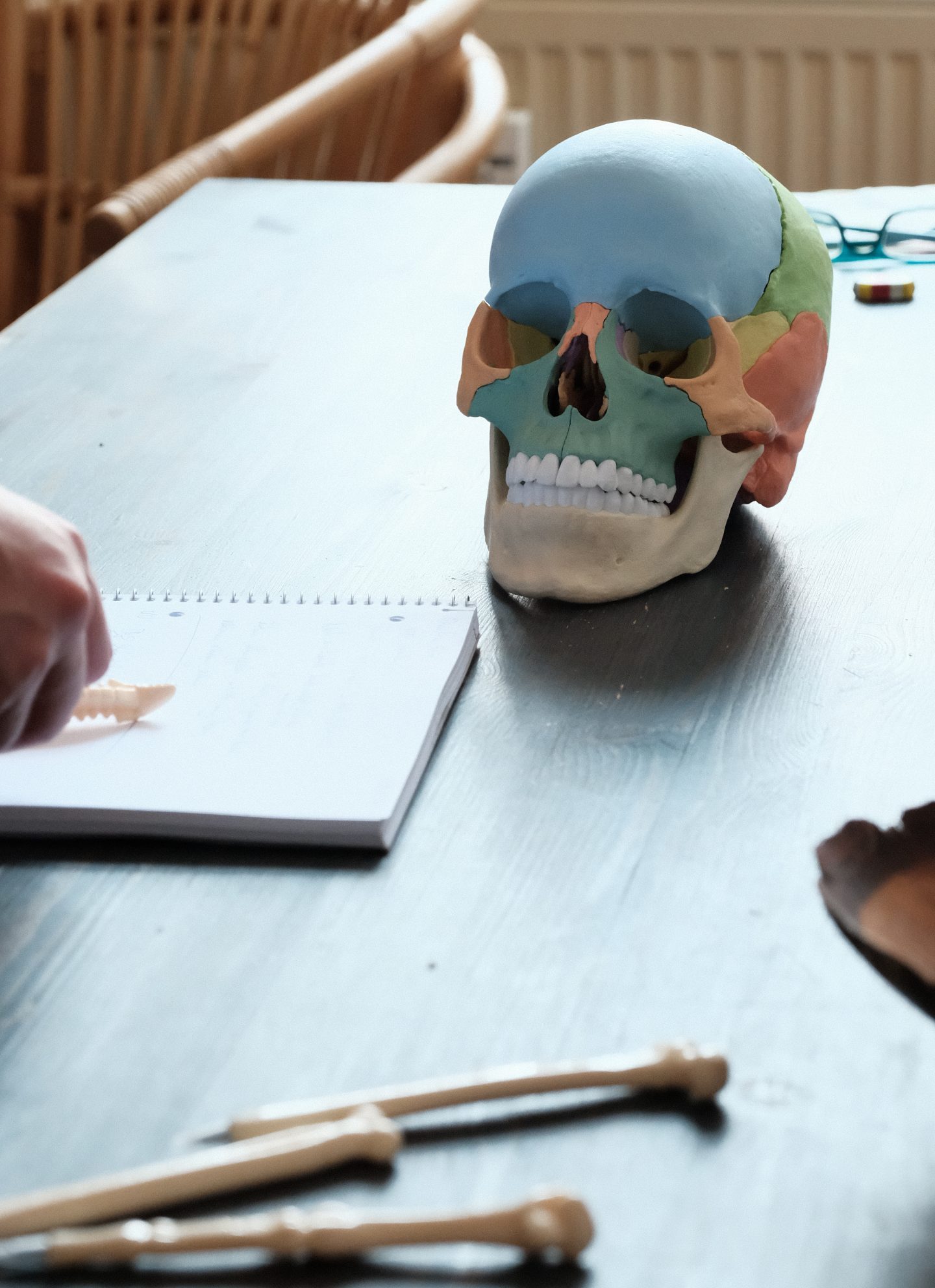 Osteopathie Jonathan Wolf skull