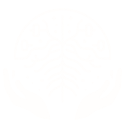 Praxis für Osteopathie Jonathan Wolf